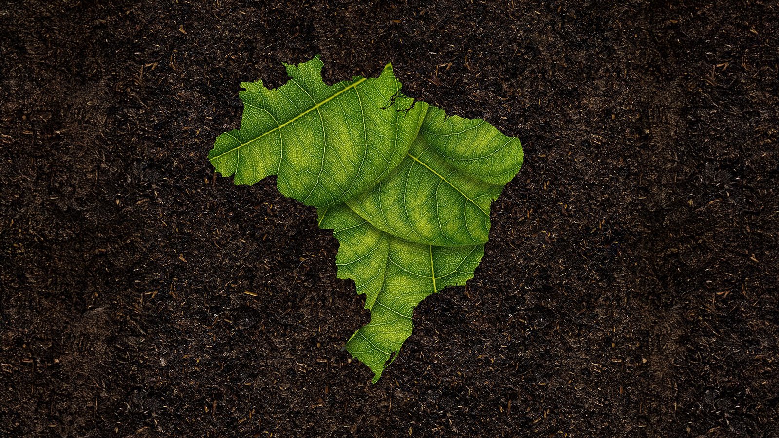 abmra-semeia-agro